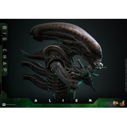 Figurine Movie Masterpiece Alien Big Chap Hot Toys Alien