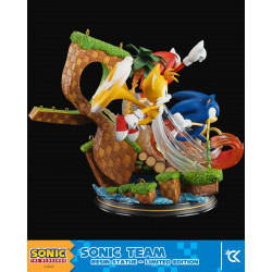 Statue Sonic Cartoon Kingdom Sonic