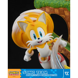 Statue Sonic Cartoon Kingdom Sonic