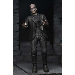 Set 2 Figurines Monster & his Mate 90th Anniversary Neca La Fiancée de Frankenstein