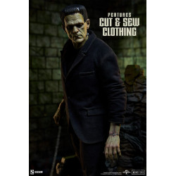Statue Frankenstein Fabric Costume Premium Format Figure Sideshow Frankenstein Statue Frankenstein Fabric Costume Premium Format Figure Sideshow Frankenstein
