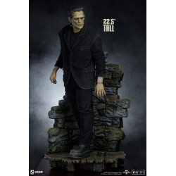 Statue Frankenstein Fabric Costume Premium Format Figure Sideshow Frankenstein Statue Frankenstein Fabric Costume Premium Format Figure Sideshow Frankenstein