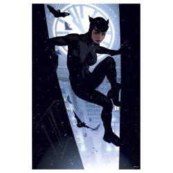 Impression Art Print Catwoman Adam Hughes Sideshow DC Comics