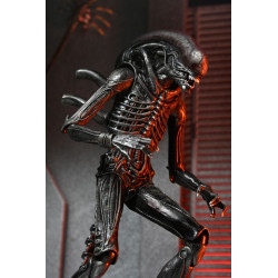 ALIEN ROMULUS Figurine Ultimate Xenomorph XX121
