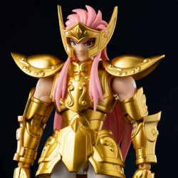 SAINT SEIYA Maquette Verseau Camus Champion Class Blokees