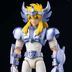 SAINT SEIYA Maquette Cygne Hyoga Champion Class Blokees
