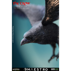 Figurine Eric Draven Standard Edition Infinite Statue The Crow