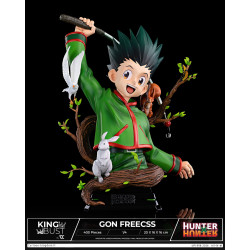 King Bust Gon Freecss Cartoon Kingdom Hunter X Hunter