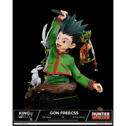 King Bust Gon Freecss Cartoon Kingdom Hunter X Hunter