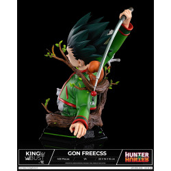 King Bust Gon Freecss Cartoon Kingdom Hunter X Hunter