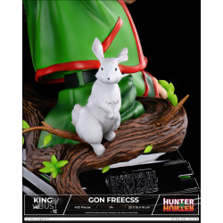 King Bust Gon Freecss Cartoon Kingdom Hunter X Hunter