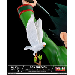King Bust Gon Freecss Cartoon Kingdom Hunter X Hunter