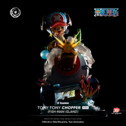 Statue Ikigai Tony Tony Chopper Tsume Art One Piece
