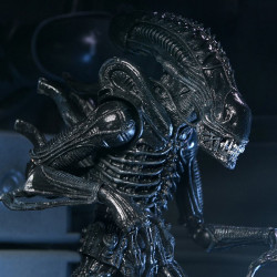 Figurine Ultimate Alien Warrior Black 40th Anniversary Neca Aliens