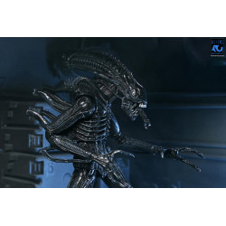 Figurine Ultimate Alien Warrior Black 40th Anniversary Neca Aliens