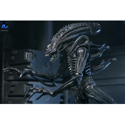 Figurine Ultimate Alien Warrior Black 40th Anniversary Neca Aliens