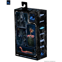 Figurine Ultimate Alien Warrior Black 40th Anniversary Neca Aliens