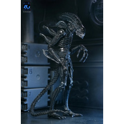 Figurine Ultimate Alien Warrior Black 40th Anniversary Neca Aliens