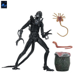 Figurine Ultimate Alien Warrior Black 40th Anniversary Neca Aliens