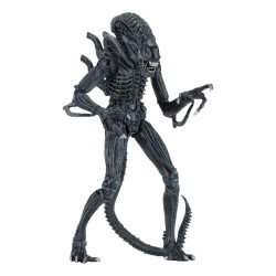Figurine Ultimate Alien Warrior Blue 1986 Neca Aliens