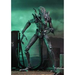 Figurine Ultimate Alien Warrior Blue 1986 Neca Aliens