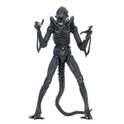 Figurine Ultimate Alien Warrior Blue 1986 Neca Aliens