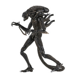 Figurine Ultimate Alien Warrior Brown 1986 Neca Aliens