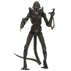 Figurine Ultimate Alien Warrior Brown 1986 Neca Aliens
