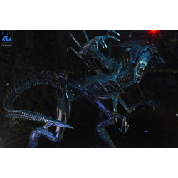 Figurine Alien Queen Deluxe 40th Anniversary Neca Aliens