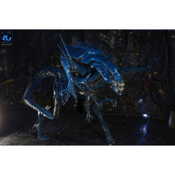 Figurine Alien Queen Deluxe 40th Anniversary Neca Aliens