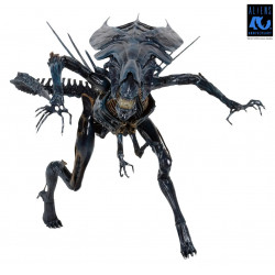 Figurine Alien Queen Deluxe 40th Anniversary Neca Aliens