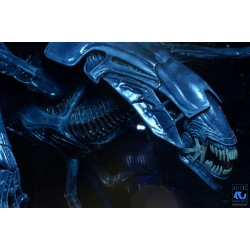 Figurine Alien Queen Deluxe 40th Anniversary Neca Aliens