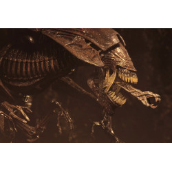Figurine Alien Queen Deluxe Neca Alien Resurrection