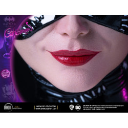 Statue Catwoman 30th Anniversary Edition Darkside Collectibles Studio Batman Returns