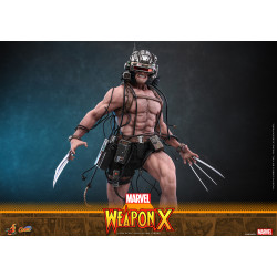 Figurine Comic Masterpiece Weapon X Hot Toys Marvel
