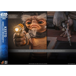 Figurine Taille Réelle Keeto Anzellan Droidsmith Hot Toys Star Wars The Mandalorian & Grogu