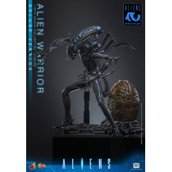 Figurine Alien Warrior Deluxe Version Movie Masterpiece Hot Toys Aliens