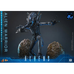 Figurine Alien Warrior Deluxe Version Movie Masterpiece Hot Toys Aliens
