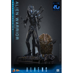 Figurine Alien Warrior Deluxe Version Movie Masterpiece Hot Toys Aliens