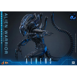 Figurine Alien Warrior Deluxe Version Movie Masterpiece Hot Toys Aliens