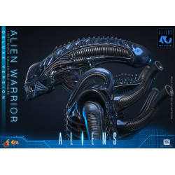 Figurine Alien Warrior Deluxe Version Movie Masterpiece Hot Toys Aliens