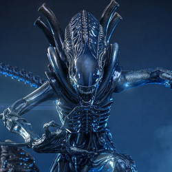 Figurine Alien Warrior Deluxe Version Movie Masterpiece Hot Toys Aliens