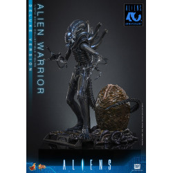 Figurine Alien Warrior Deluxe Version Movie Masterpiece Hot Toys Aliens