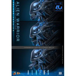 Figurine Alien Warrior Deluxe Version Movie Masterpiece Hot Toys Aliens