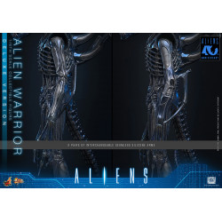 Figurine Alien Warrior Deluxe Version Movie Masterpiece Hot Toys Aliens