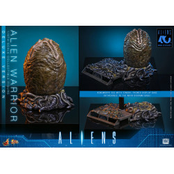 Figurine Alien Warrior Deluxe Version Movie Masterpiece Hot Toys Aliens
