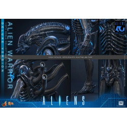Figurine Alien Warrior Deluxe Version Movie Masterpiece Hot Toys Aliens