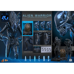 Figurine Alien Warrior Deluxe Version Movie Masterpiece Hot Toys Aliens