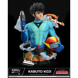 GOLDORAK King Alcor / Koji Kabuto Cartoon Kingdom