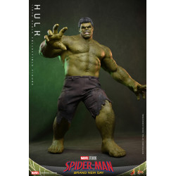 Figurine Hulk Movie Masterpiece Hot Toys Marvel